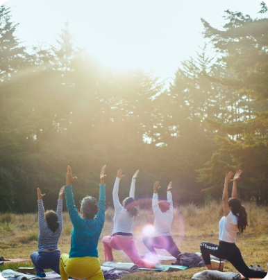 cinco personas realizando yoga al aire libre en un bosque